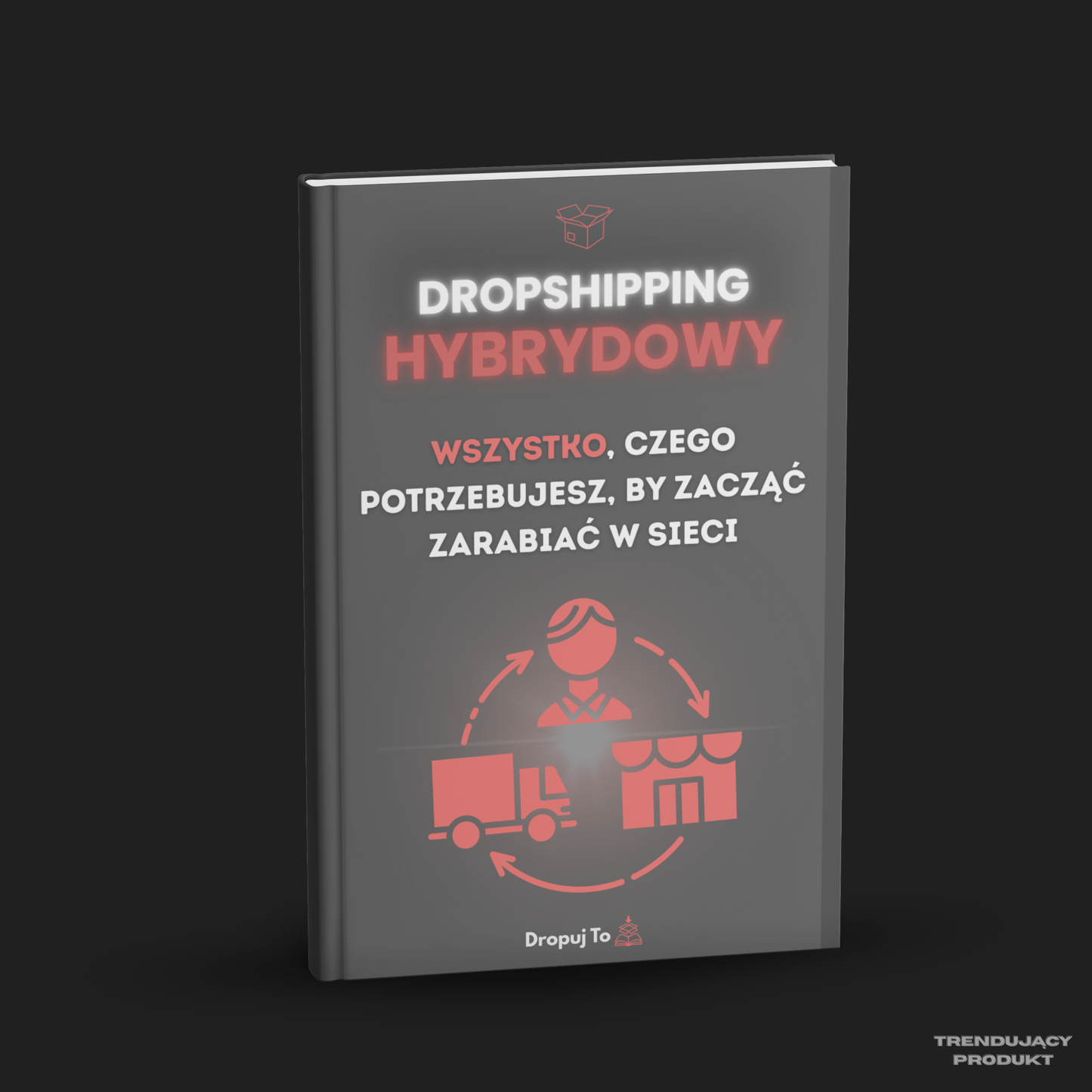 Dropshipping Hybrydowy - wszystko, czego potrzebujesz, by zacząć zarabiać w sieci